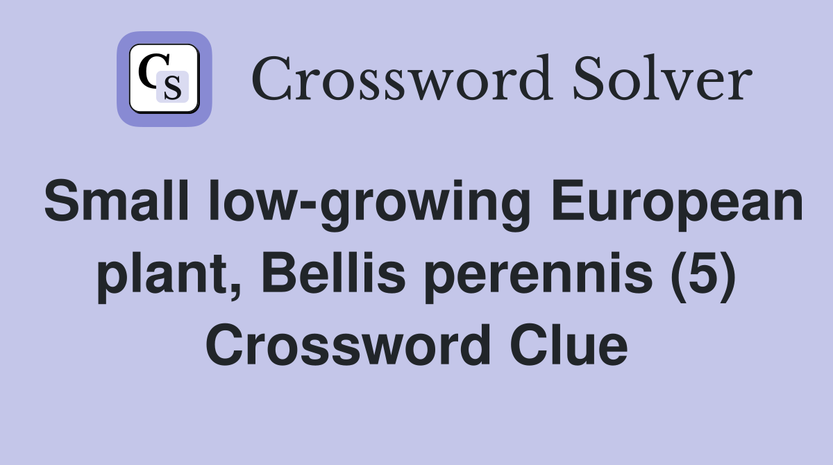 Small low-growing European plant, Bellis perennis (5) Crossword Clue