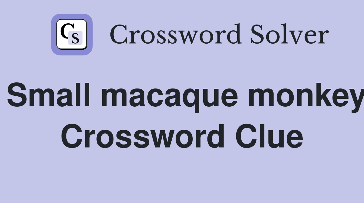 Small macaque monkey Crossword Clue