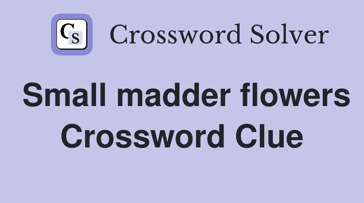 Small madder flowers Crossword Clue
