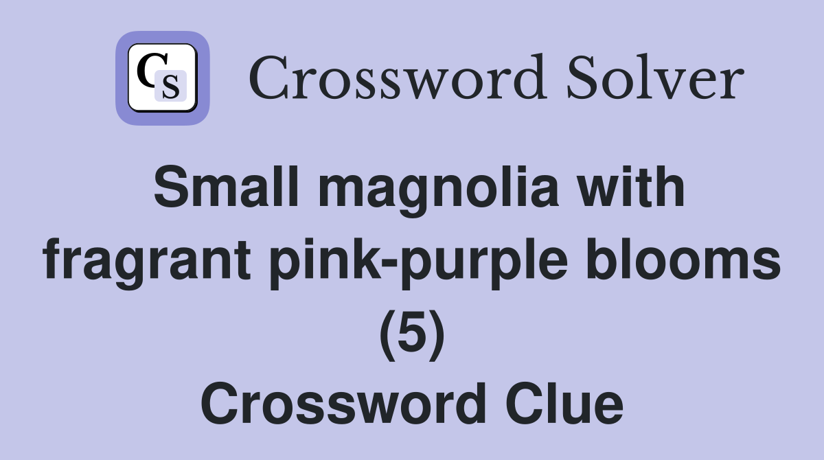 Small magnolia with fragrant pink-purple blooms (5) Crossword Clue