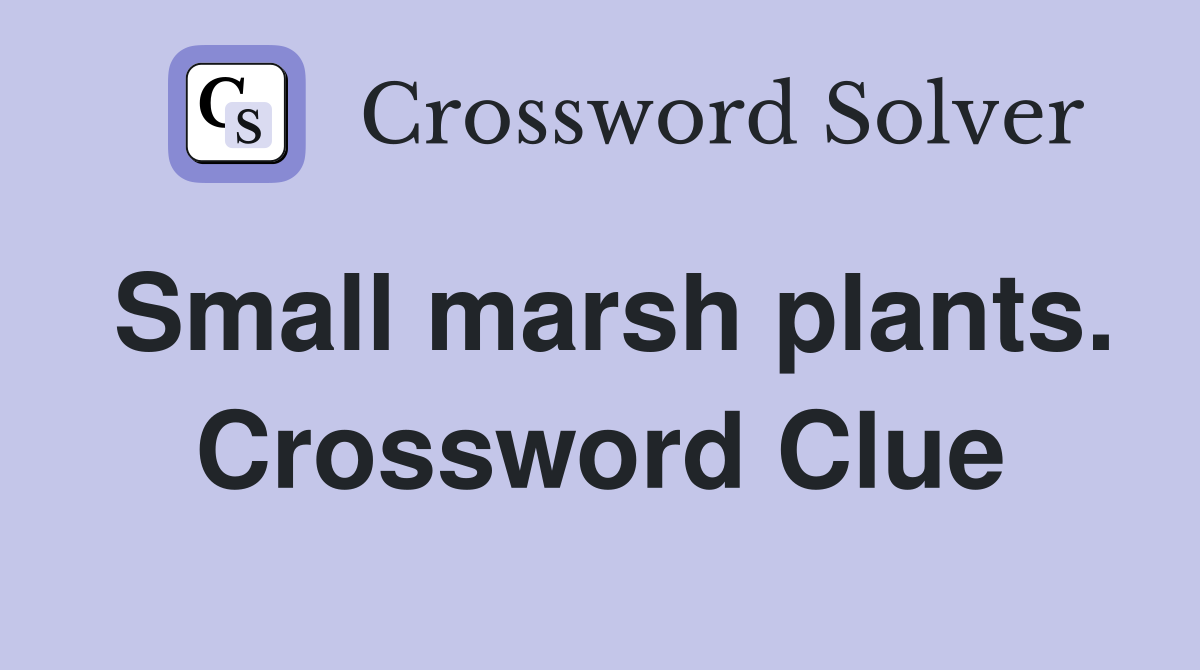 Small marsh plants. Crossword Clue
