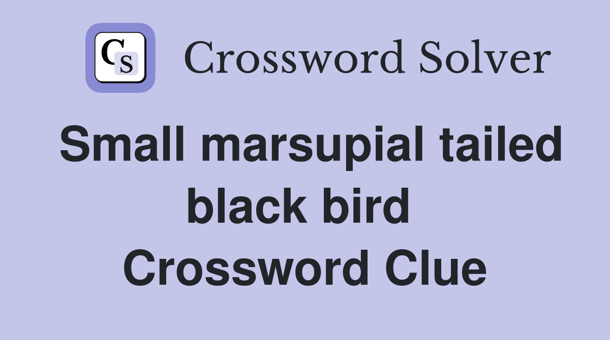 Small marsupial tailed black bird  Crossword Clue