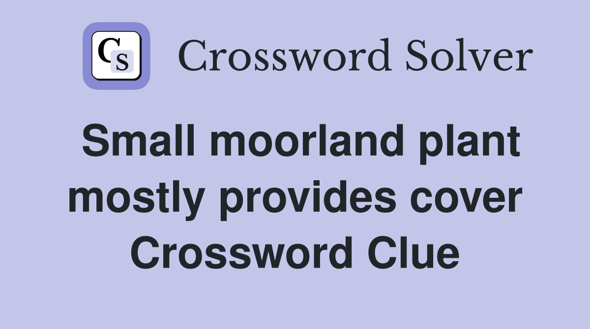 Small moorland plant mostly provides cover Crossword Clue