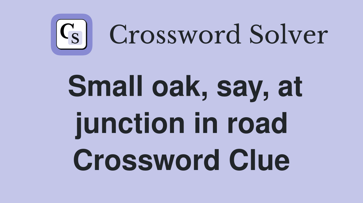 Small oak, say, at junction in road Crossword Clue