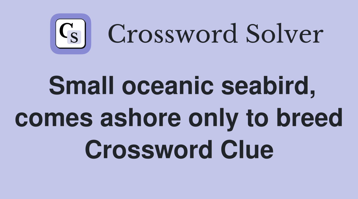 Small oceanic seabird, comes ashore only to breed Crossword Clue