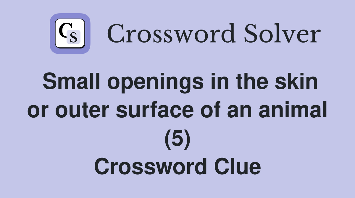 Small openings in the skin or outer surface of an animal (5) Crossword Clue