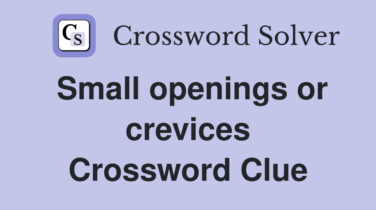 Small openings or crevices Crossword Clue
