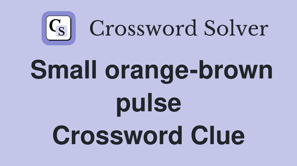 Small orange-brown pulse Crossword Clue