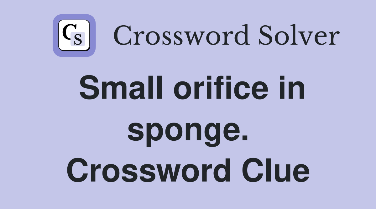 Small orifice in sponge. Crossword Clue