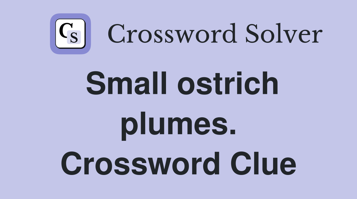 Small ostrich plumes. Crossword Clue