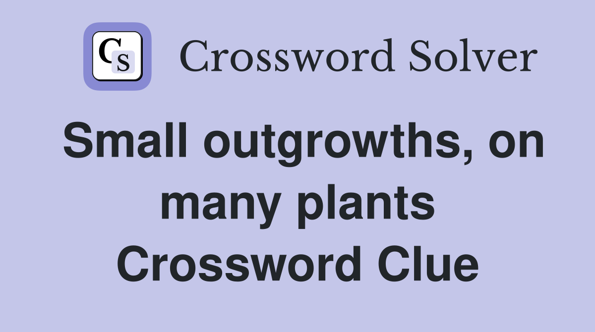 Small outgrowths, on many plants Crossword Clue