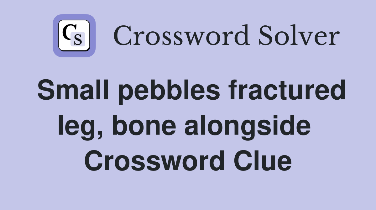 Small pebbles fractured leg, bone alongside  Crossword Clue