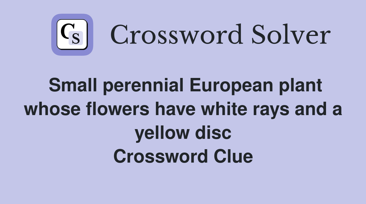 Small perennial European plant whose flowers have white rays and a yellow disc Crossword Clue