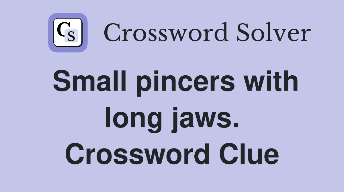 Small pincers with long jaws. Crossword Clue