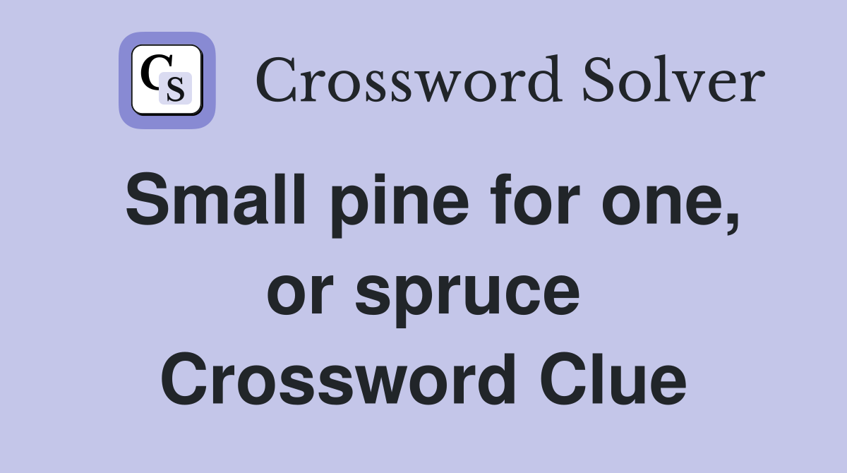 Small pine for one, or spruce Crossword Clue