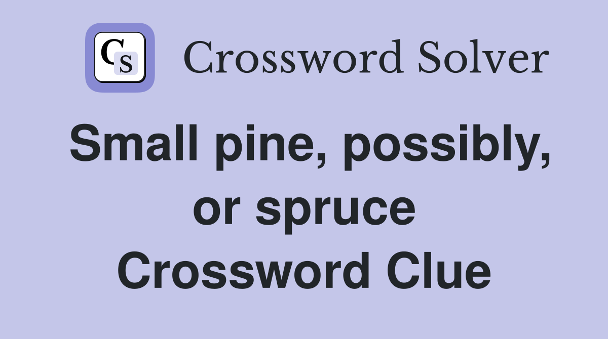 Small pine, possibly, or spruce Crossword Clue