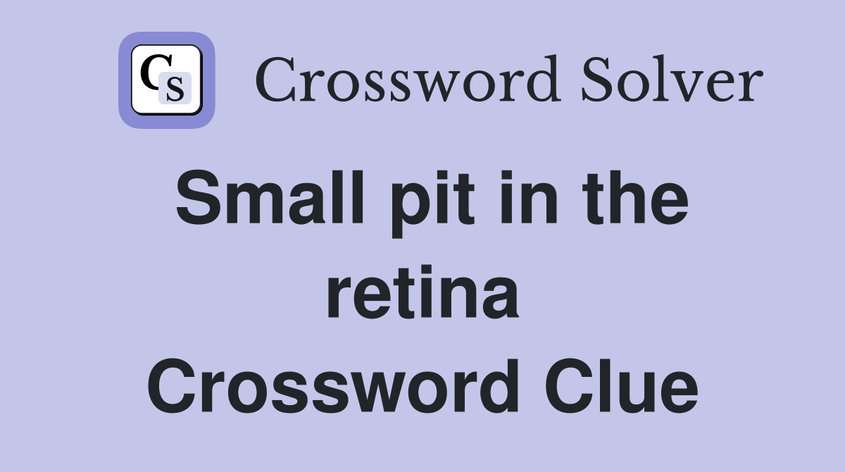 Small pit in the retina Crossword Clue