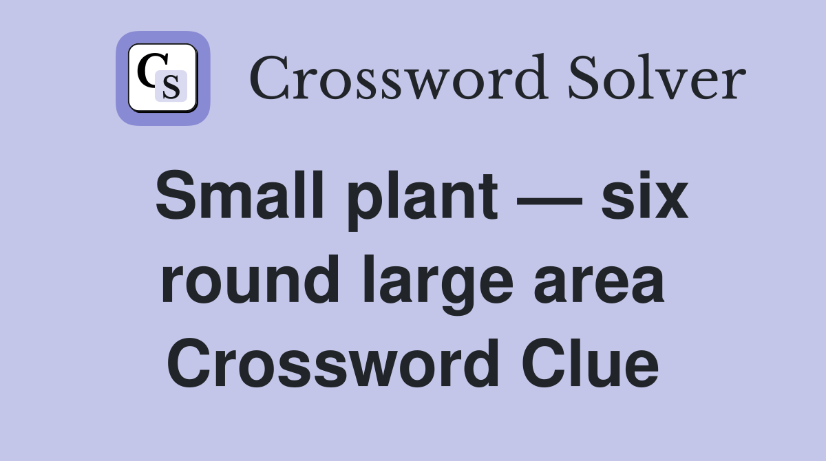 Small plant — six round large area Crossword Clue