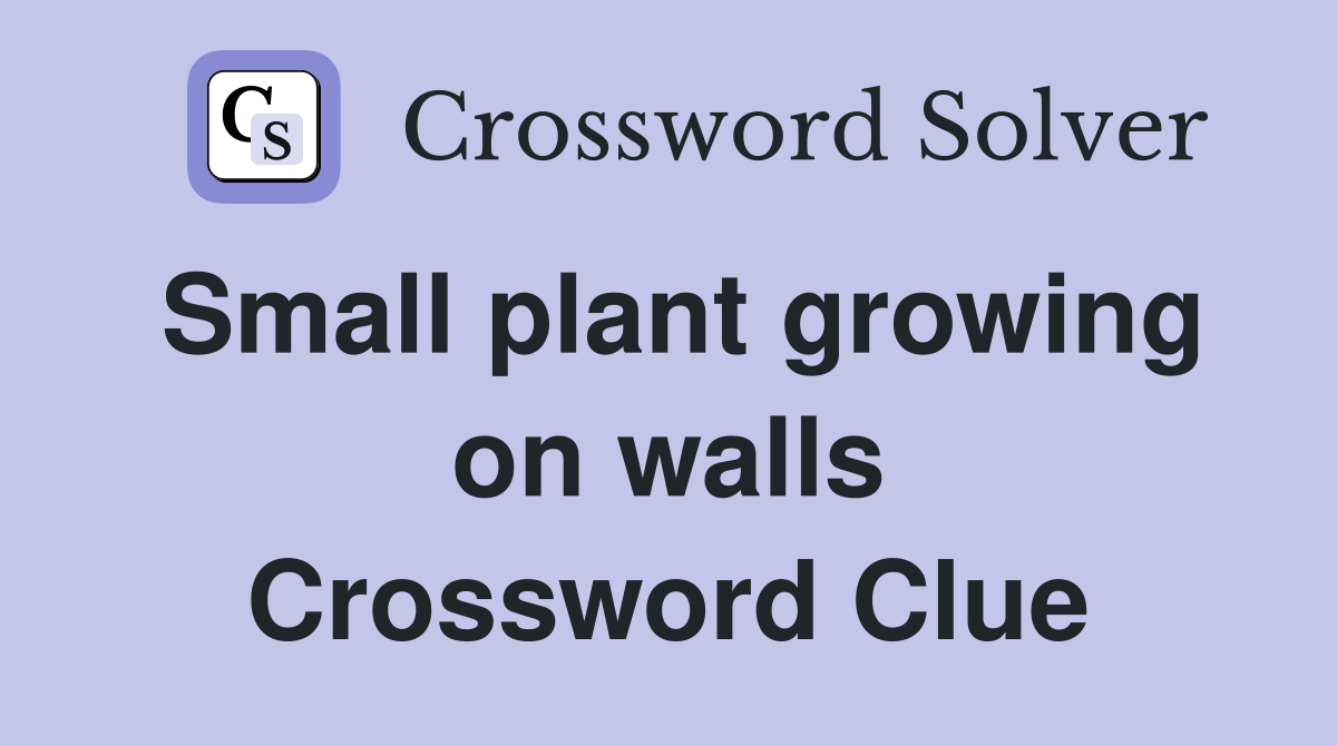 Small plant growing on walls Crossword Clue