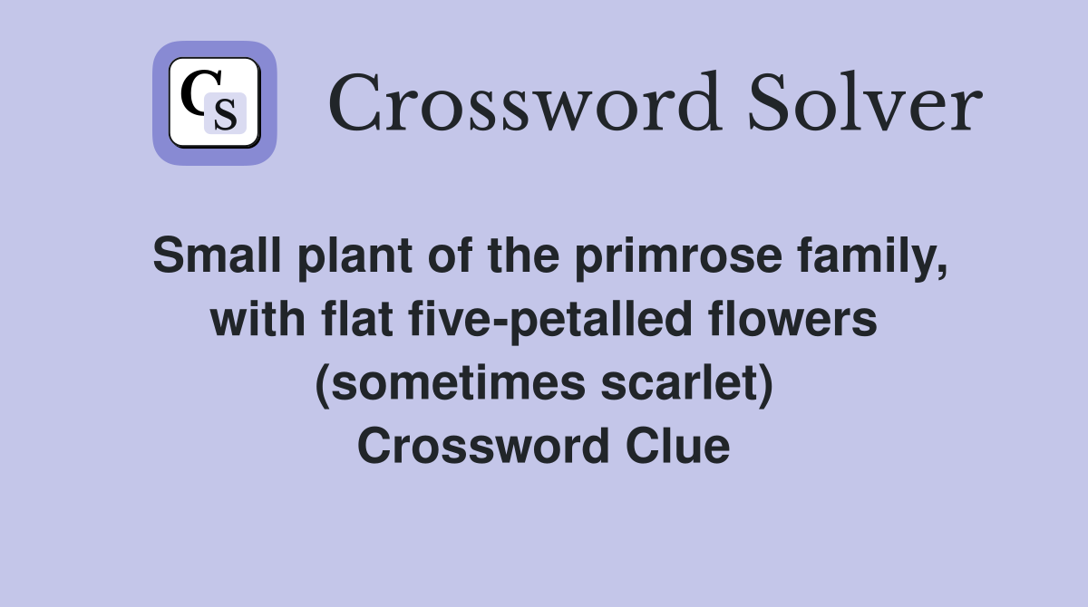 Small plant of the primrose family, with flat five-petalled flowers (sometimes scarlet) Crossword Clue