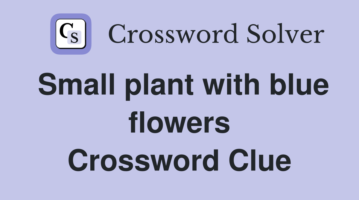 Small plant with blue flowers Crossword Clue