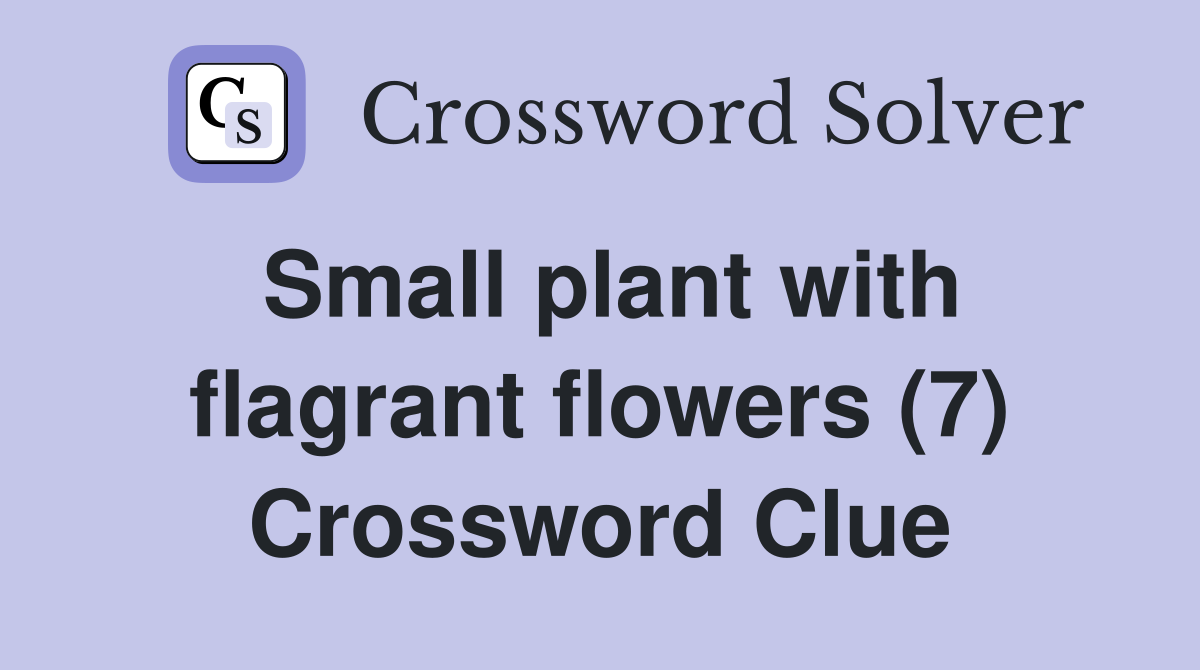 Small plant with flagrant flowers (7) Crossword Clue