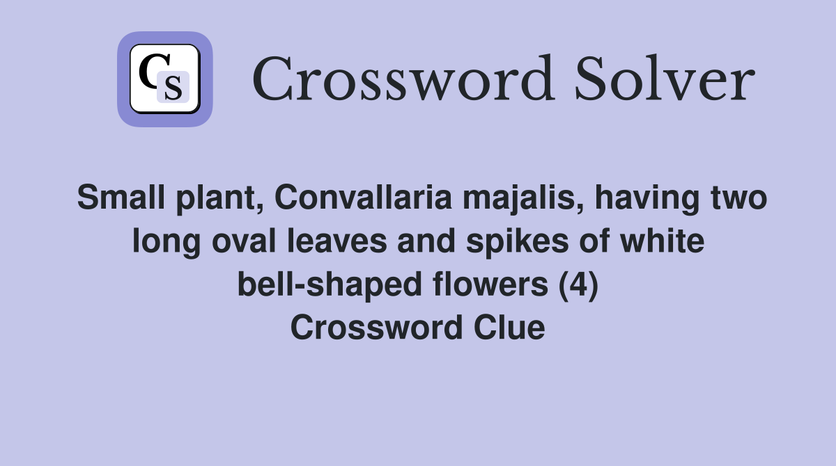 Small plant, Convallaria majalis, having two long oval leaves and spikes of white bell-shaped flowers (4) Crossword Clue