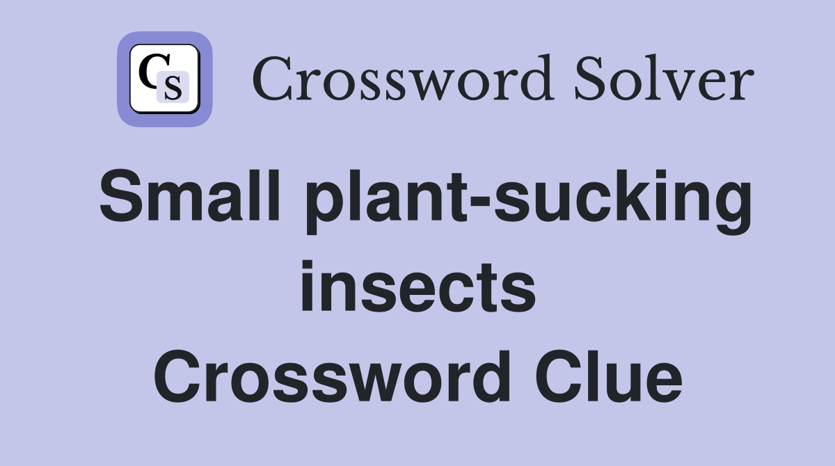 Small plant-sucking insects Crossword Clue