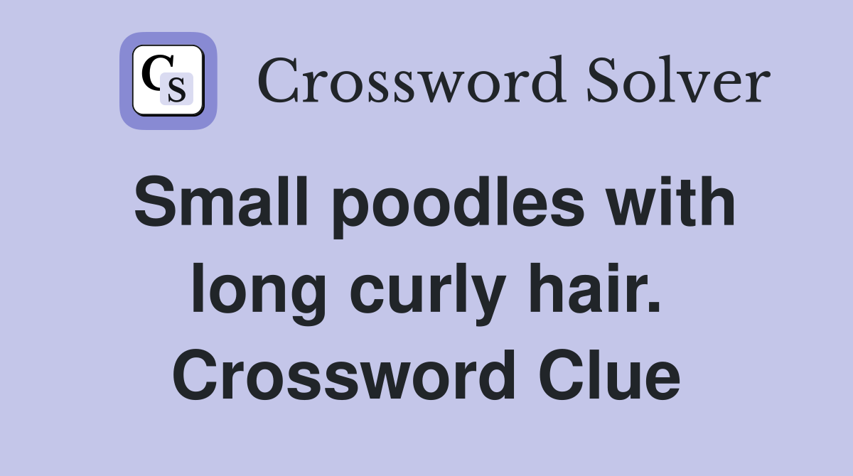 Small poodles with long curly hair. Crossword Clue