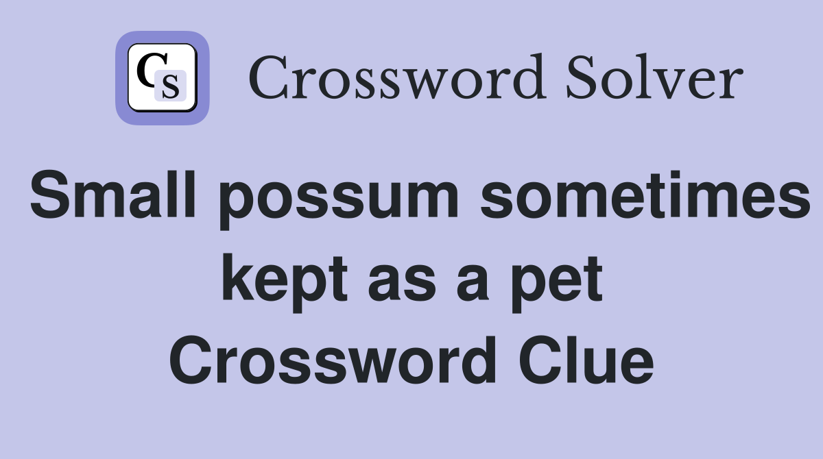 Small possum sometimes kept as a pet Crossword Clue