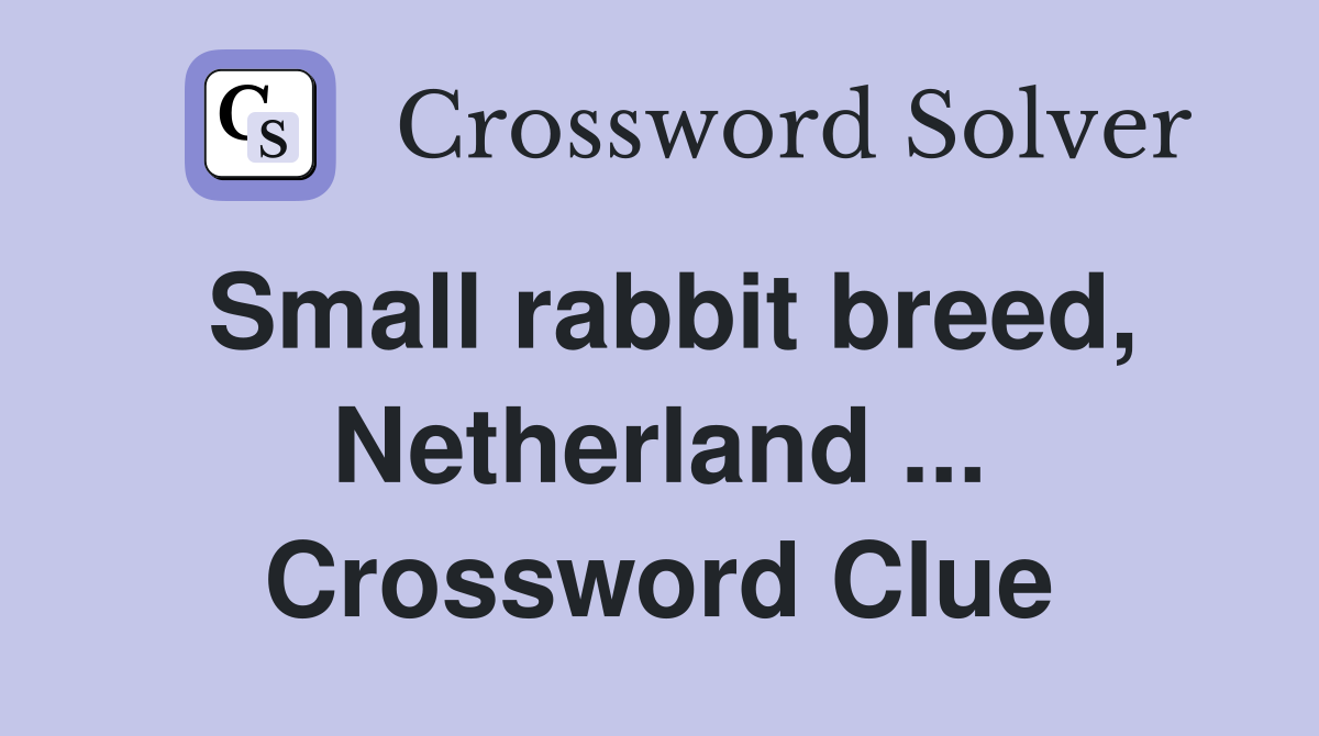 Small rabbit breed, Netherland ... Crossword Clue