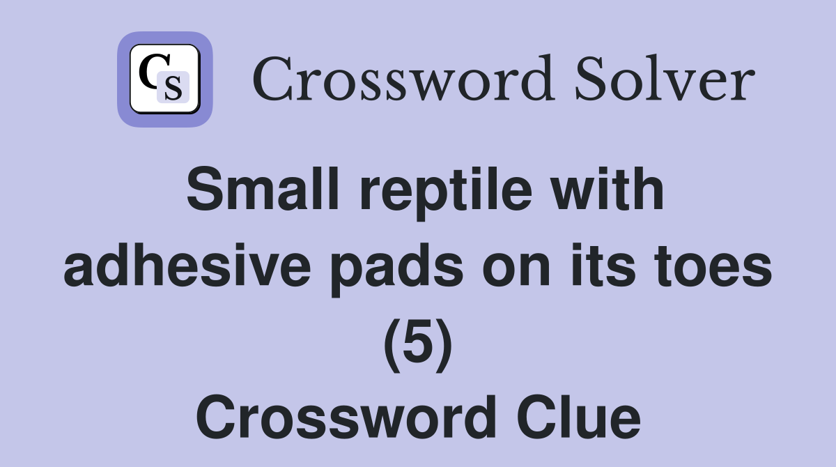Small reptile with adhesive pads on its toes (5) Crossword Clue