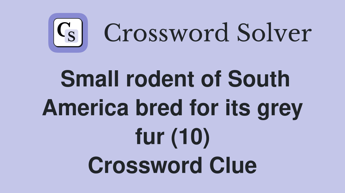 Small rodent of South America bred for its grey fur (10) Crossword Clue