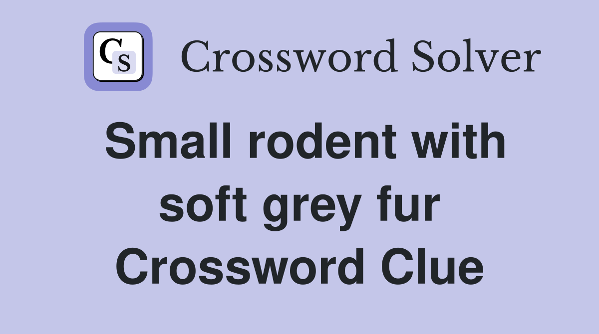 Small rodent with soft grey fur Crossword Clue