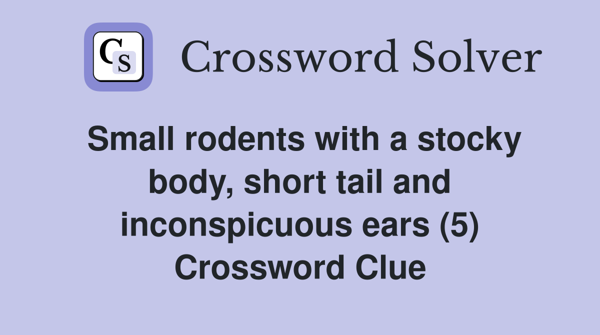 Small rodents with a stocky body, short tail and inconspicuous ears (5) Crossword Clue