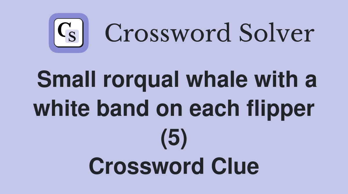 Small rorqual whale with a white band on each flipper (5) Crossword Clue