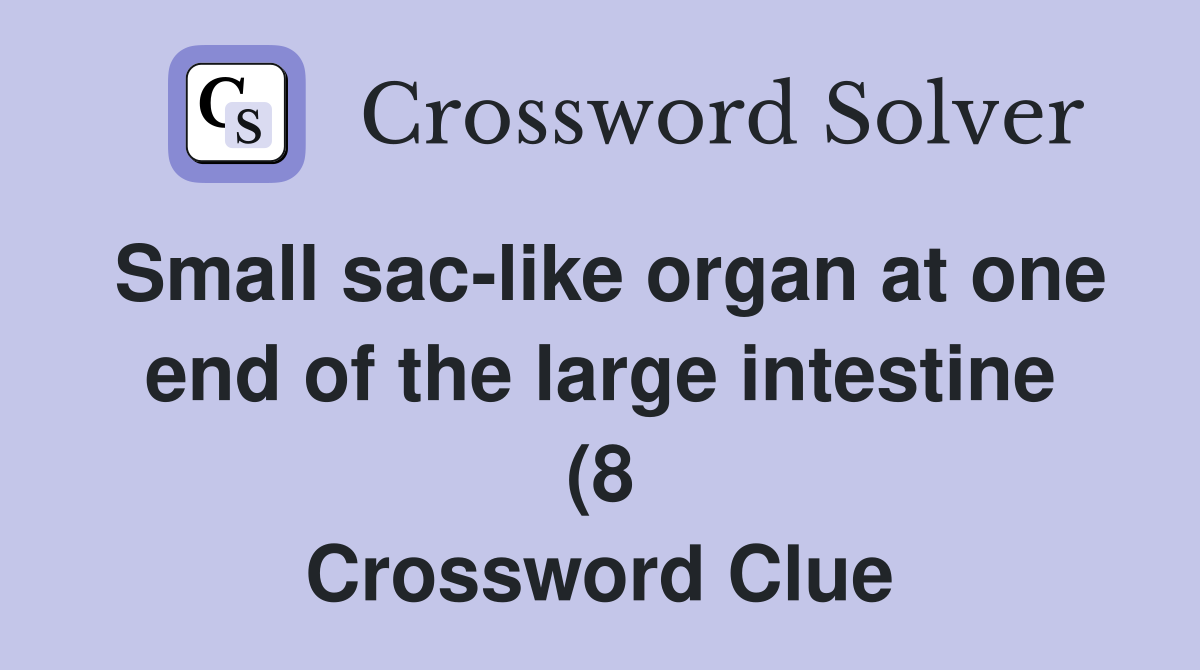 Small sac like organ at one end of the large intestine (8) Crossword Small sac like organ at one end of the large intestine (8) Crossword