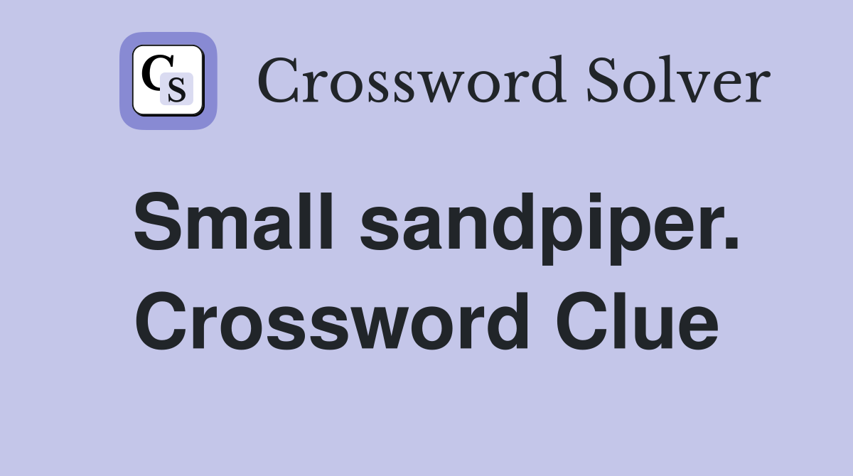 Small sandpiper. Crossword Clue