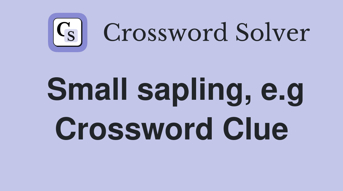 Small sapling, e.g Crossword Clue
