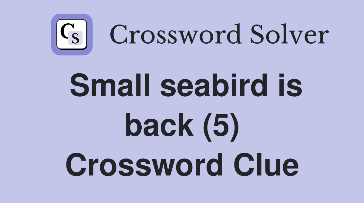 Small seabird is back (5) Crossword Clue