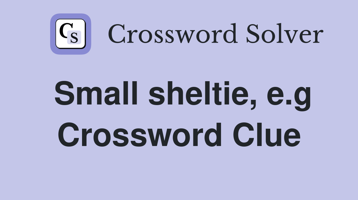 Small sheltie, e.g Crossword Clue
