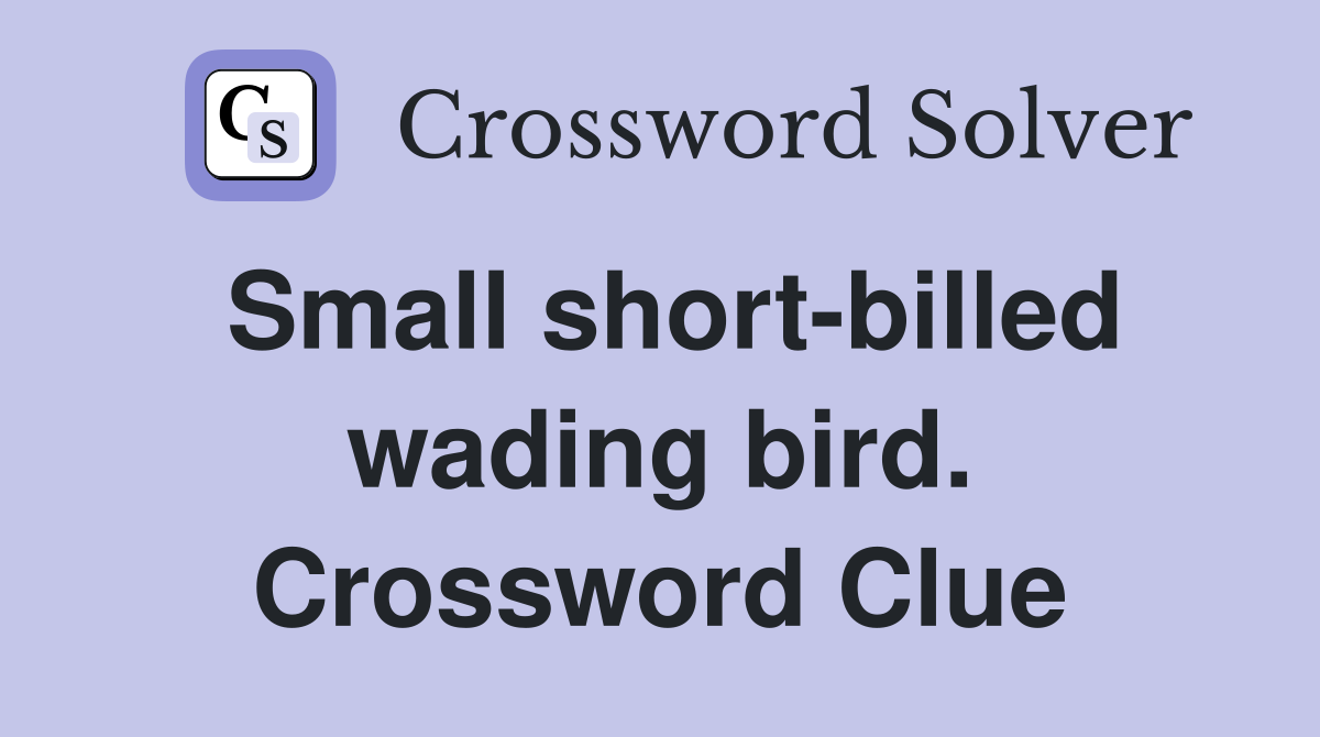 Small short-billed wading bird. Crossword Clue