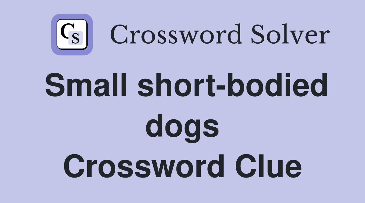 Small short-bodied dogs Crossword Clue