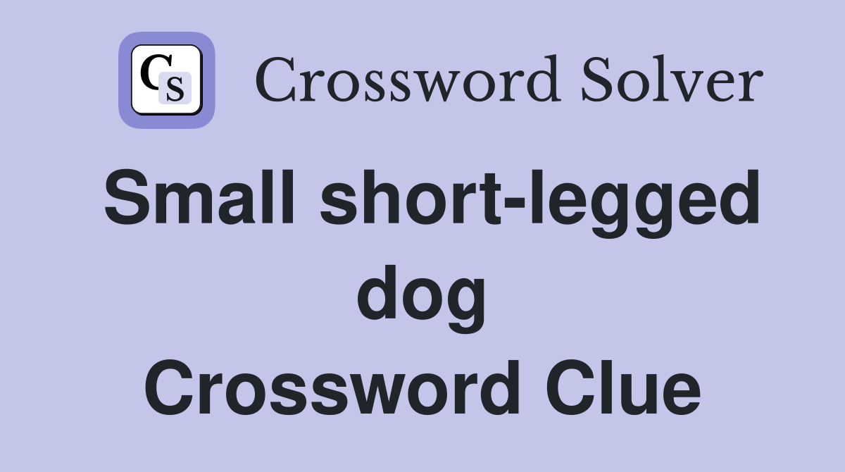 Small short-legged dog Crossword Clue
