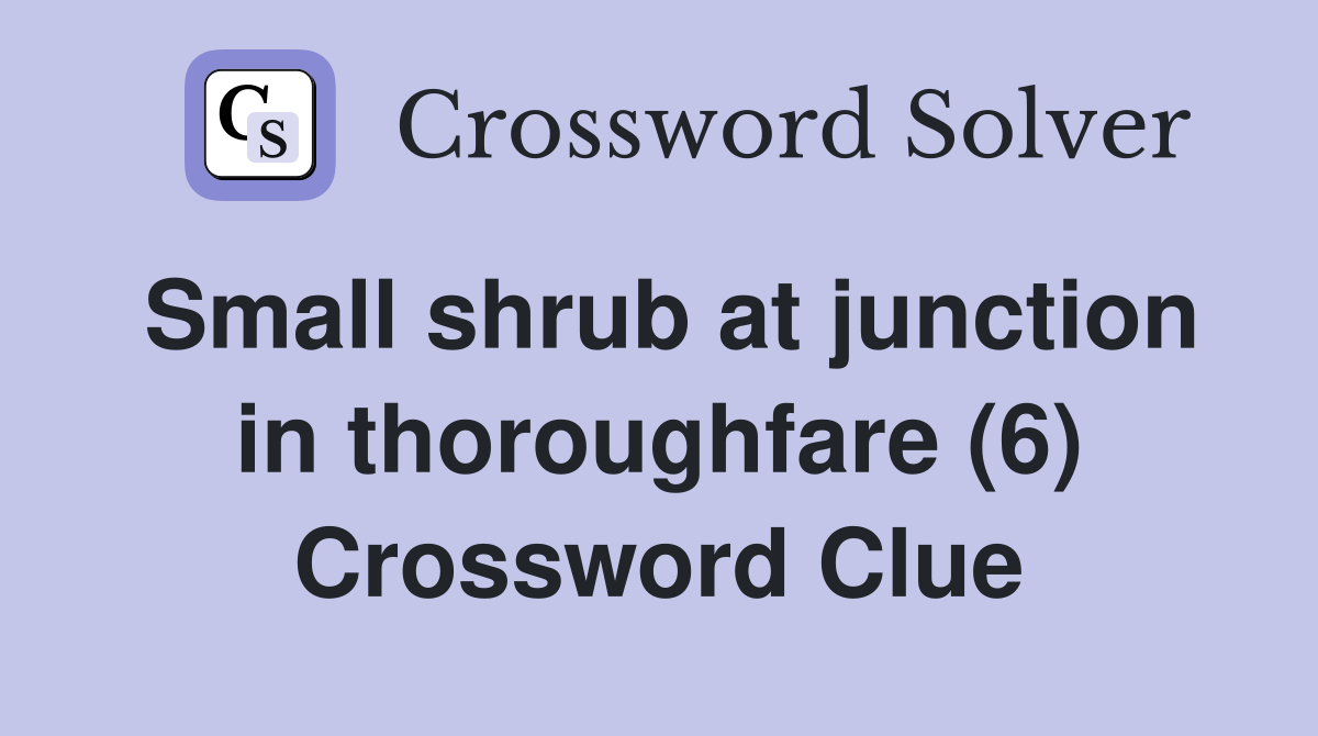 Small shrub at junction in thoroughfare (6) Crossword Clue