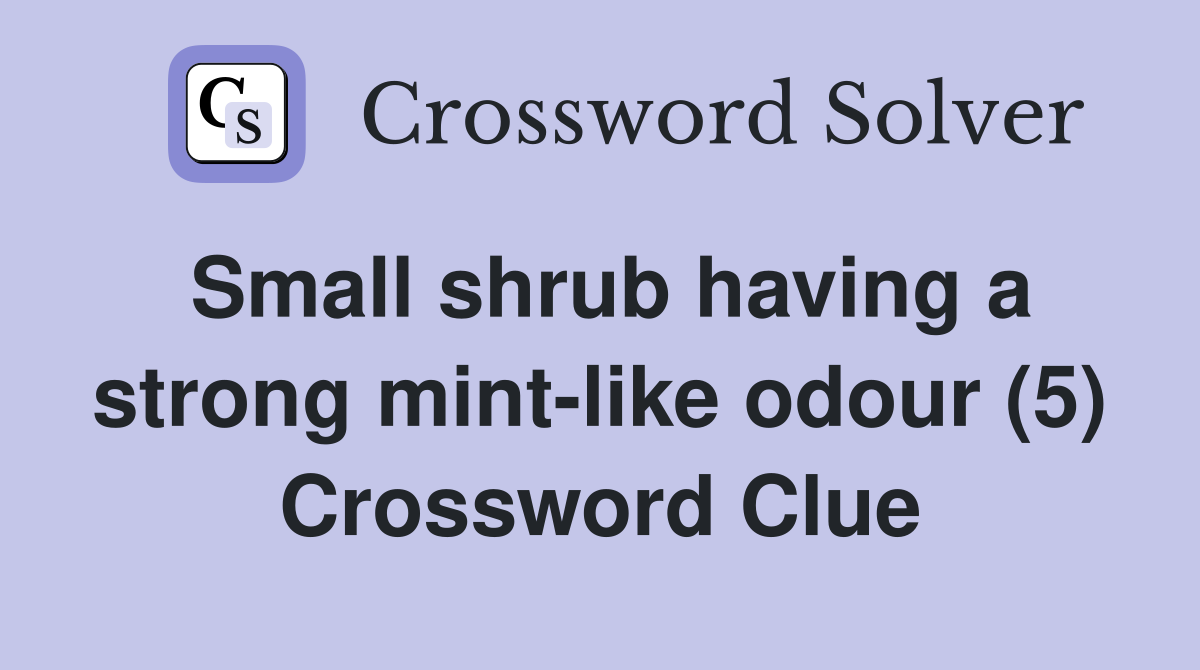 Small shrub having a strong mint-like odour (5) Crossword Clue