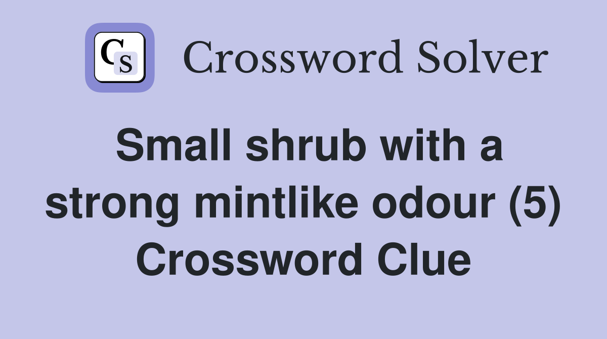 Small shrub with a strong mintlike odour (5) Crossword Clue