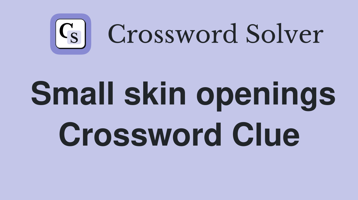 Small skin openings Crossword Clue