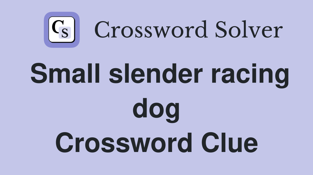 Small slender racing dog Crossword Clue