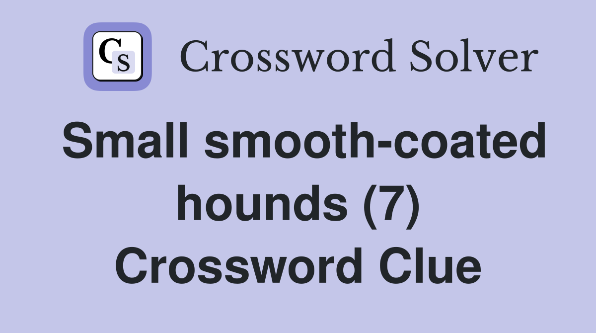 Small smooth-coated hounds (7) Crossword Clue